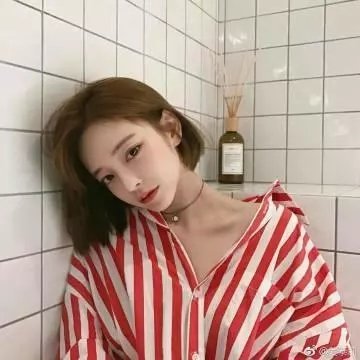 雾的子午线 封面