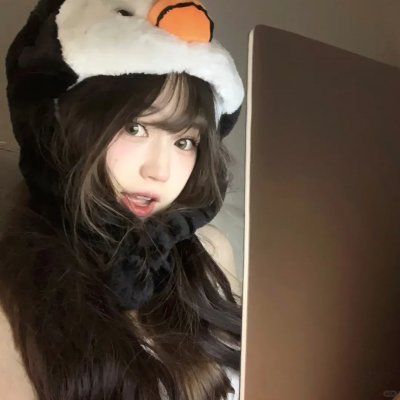 动画综艺